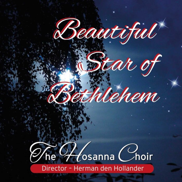 Beautiful Star of Bethlehem